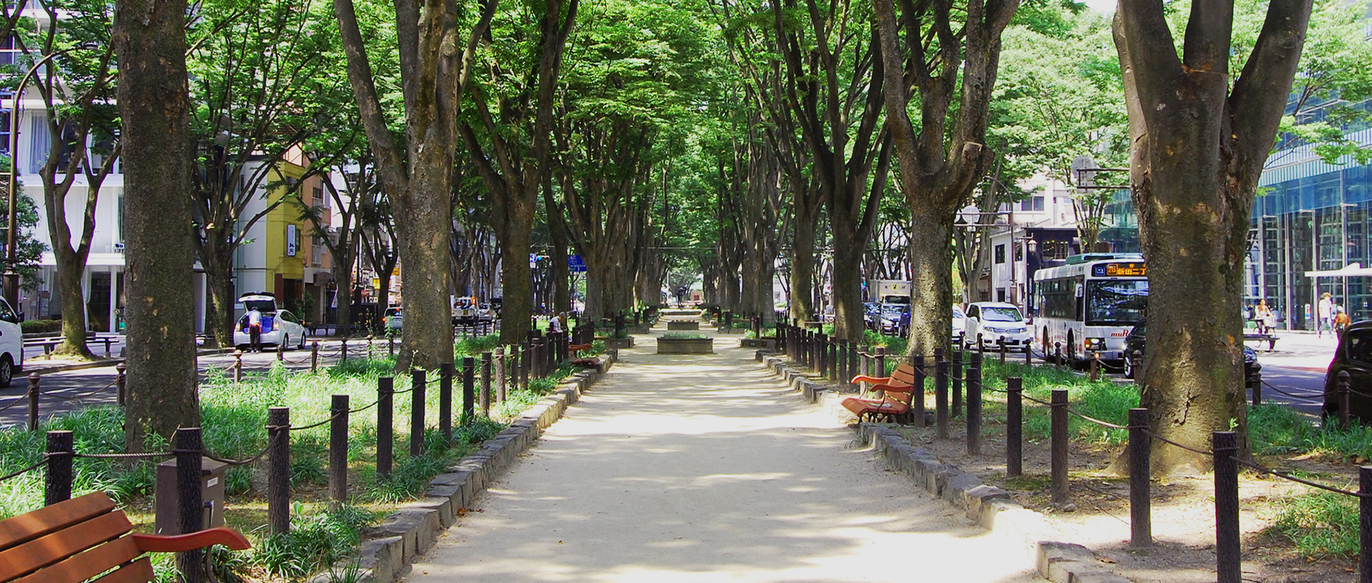 青葉ヘルスプロモーション